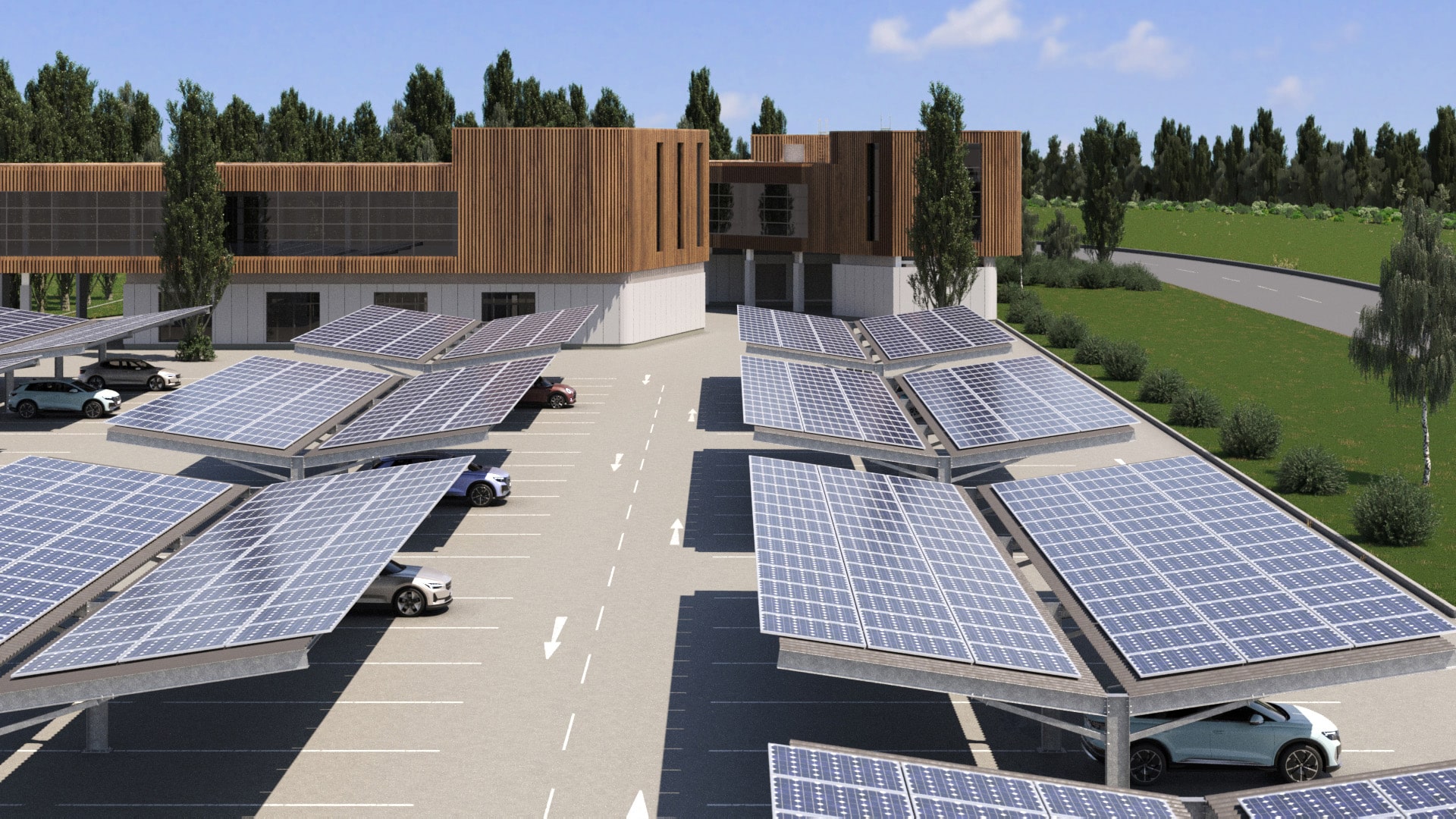 Canopy the Seagull from above